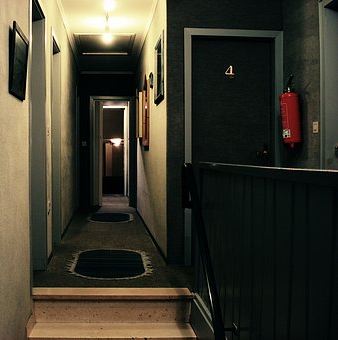 Hühnerleiter in Amsterdam – Schimmel in London – DerTimm.de