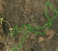 2010_08_29_teneriffa_wanderung_001