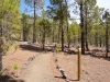 2010_08_29_teneriffa_wanderung_007