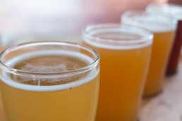 Biertasting in Clearwater